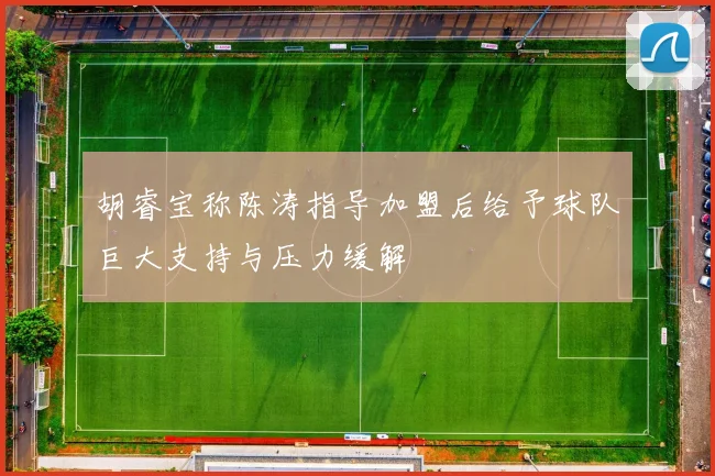 胡睿宝称陈涛指导加盟后给予球队巨大支持与压力缓解