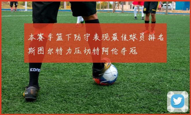 本赛季篮下防守表现最佳球员排名斯图尔特力压切特阿伦夺冠